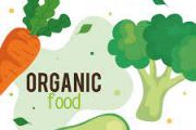 eTwinning Project: «Organic Food around Europe!» (2008-09)